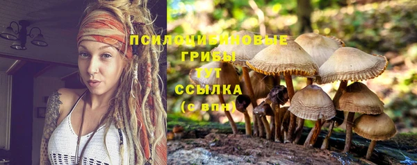 a pvp Баксан