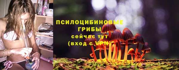 гашик Балабаново