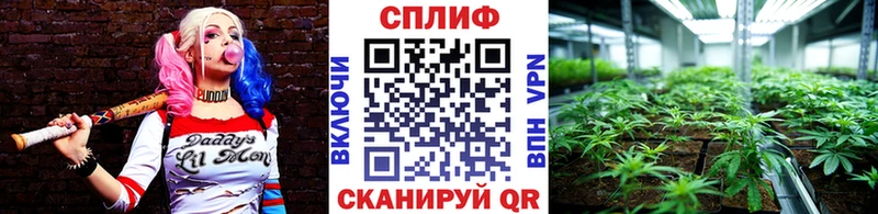 Канабис ГИДРОПОН  Купить  Мглин 